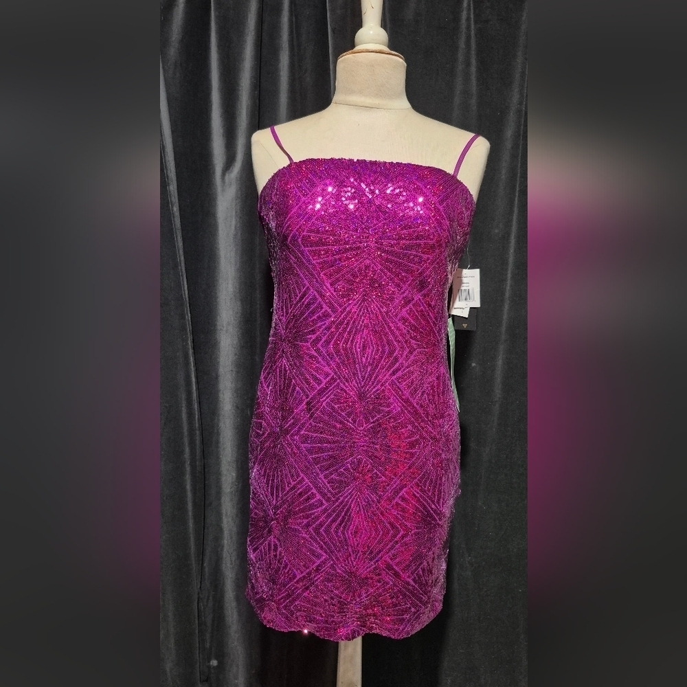 City Triangles Orchis Sequin Mini Dress
